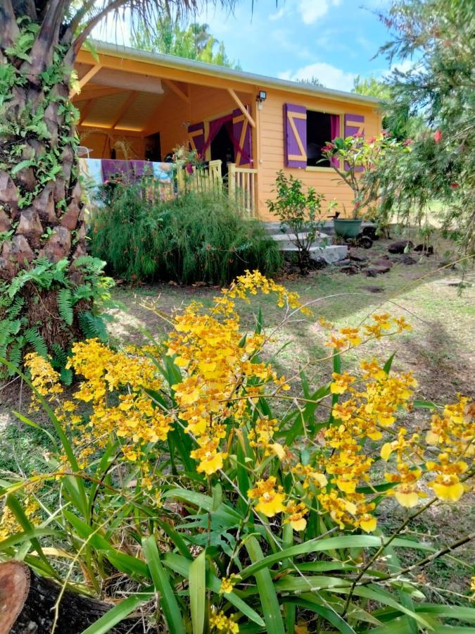 Vacances Bien Etre Guadeloupe Bouillante Exterior photo