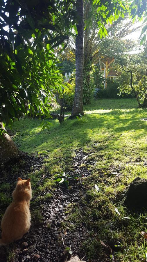 Vacances Bien Etre Guadeloupe Bouillante Exterior photo